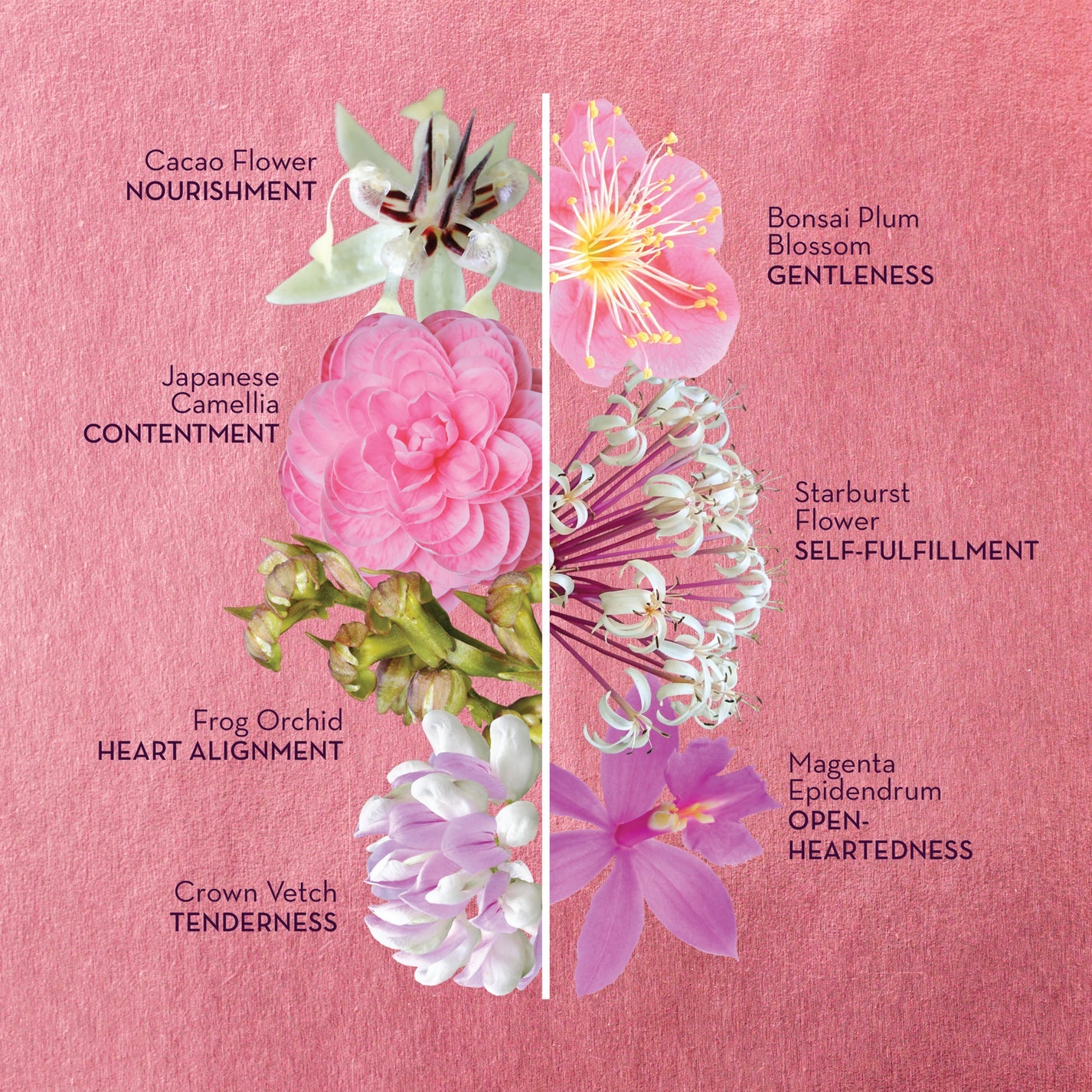 Divine Within Flower Essence Elixir