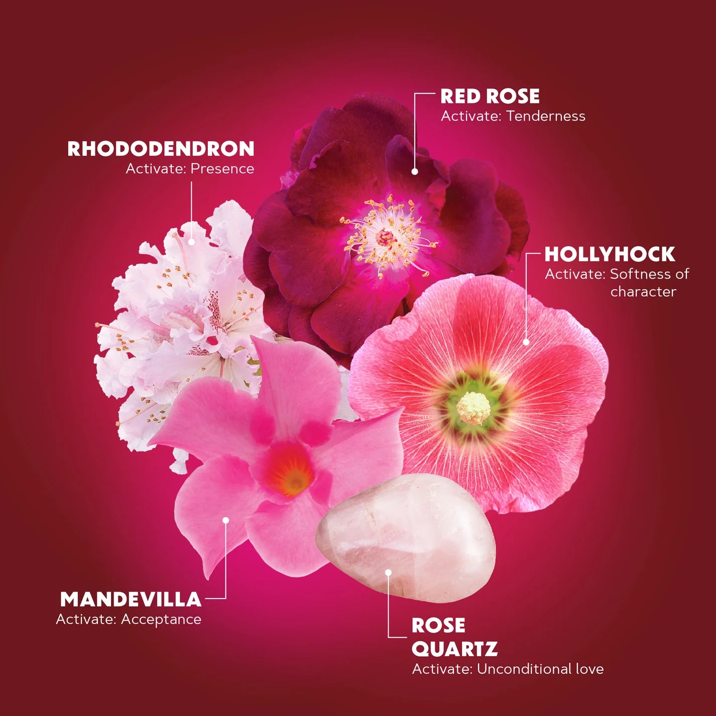 Fierce Compassion Flower Essence Elixir