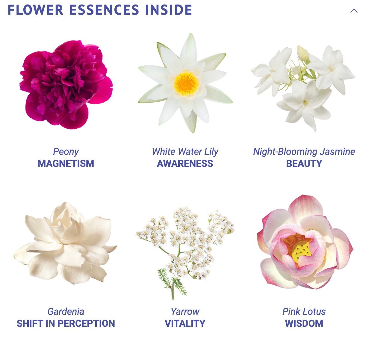 Wild Abundance Flower Essence Elixir