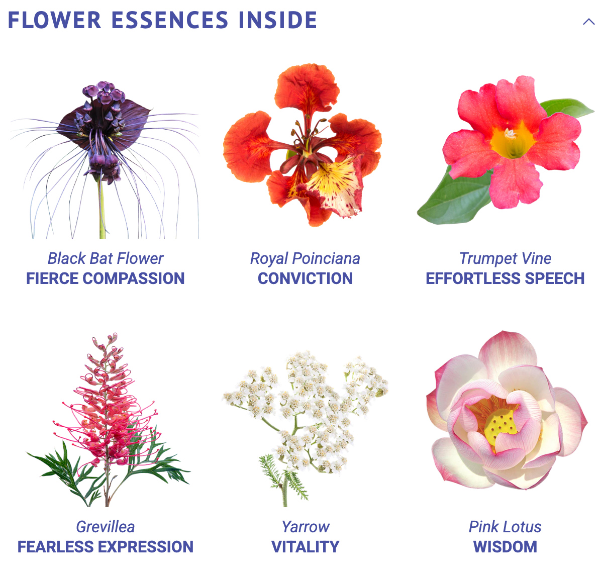Truthteller Flower Essence Elixir