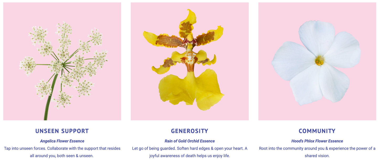 Divine Timing Flower Essence Elixir