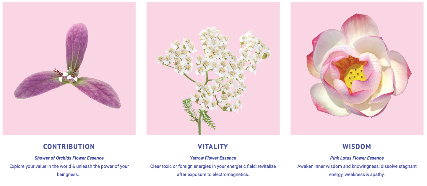 Divine Timing Flower Essence Elixir