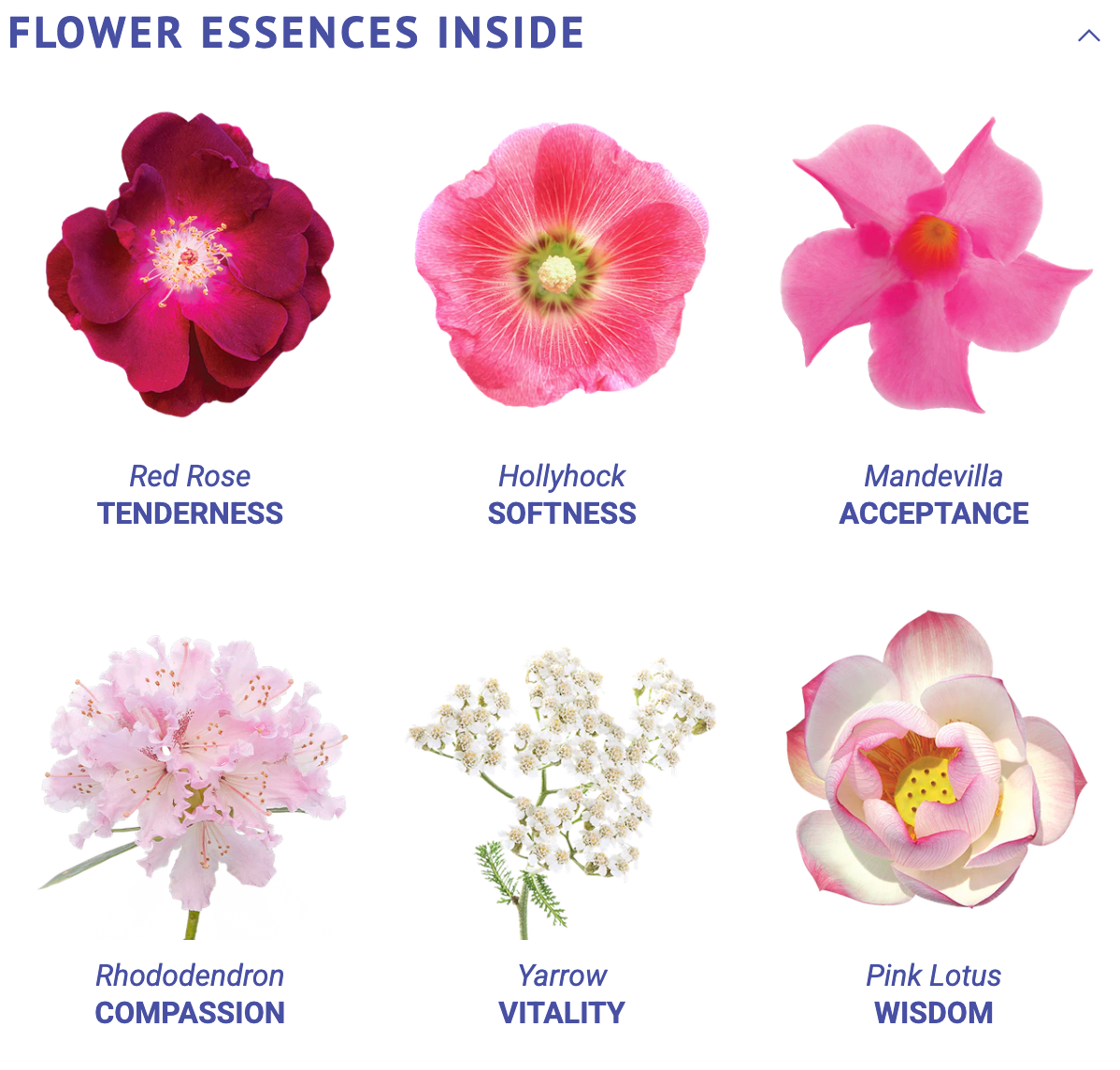 Fierce Compassion Flower Essence Elixir