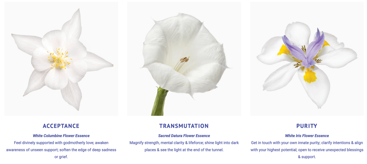 Sacred Heart Flower Essence Elixir