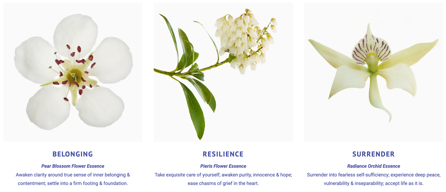 Sacred Heart Flower Essence Elixir