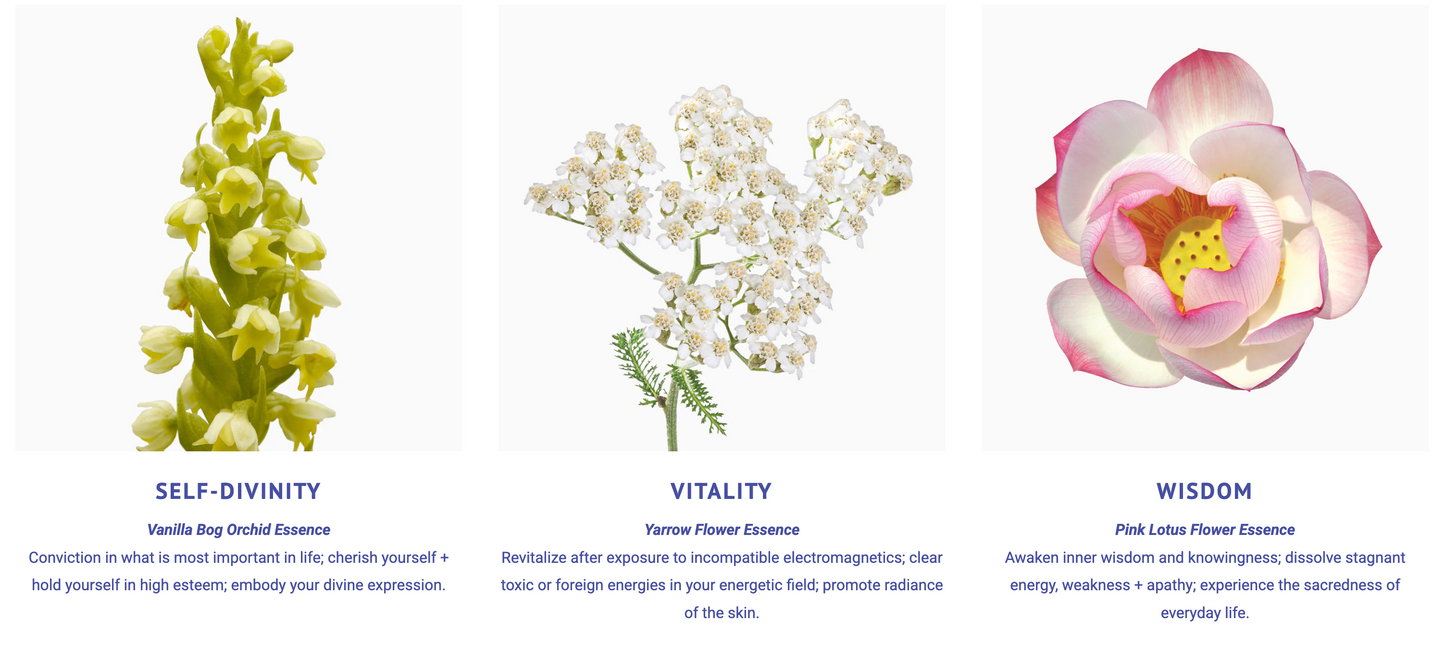 Sacred Heart Flower Essence Elixir