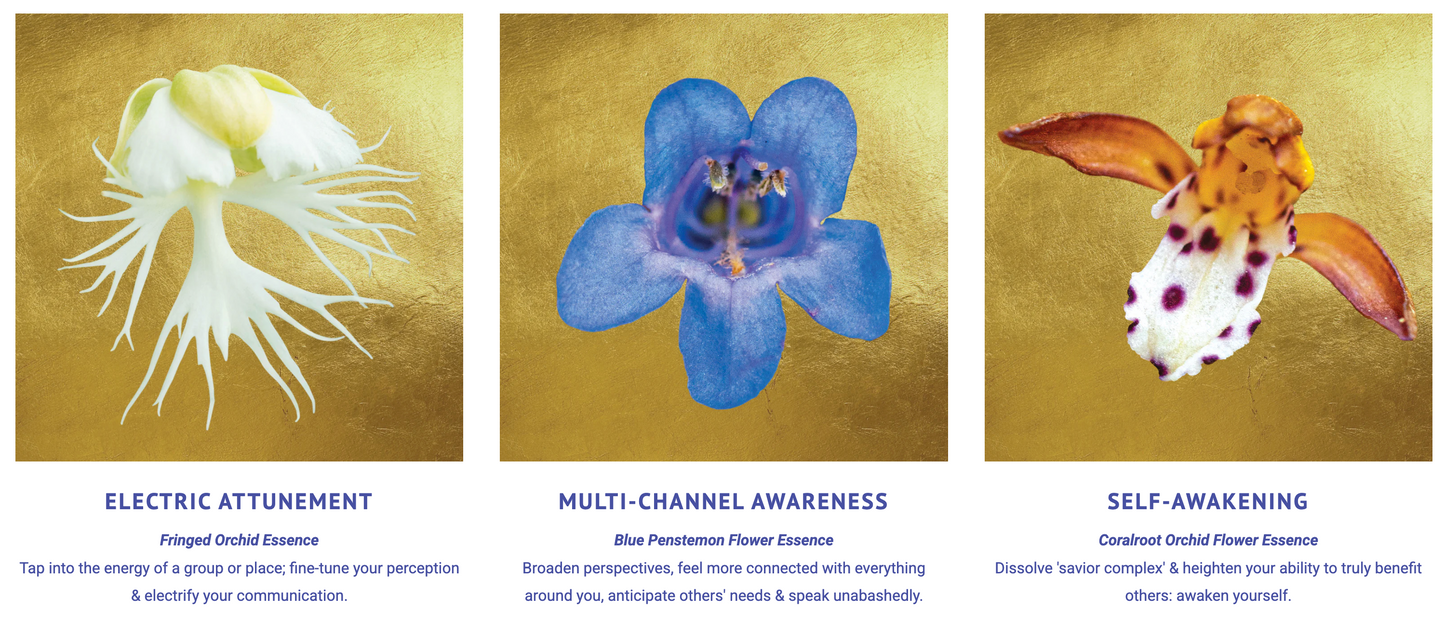 Sacred Awareness Flower Essence Elixir
