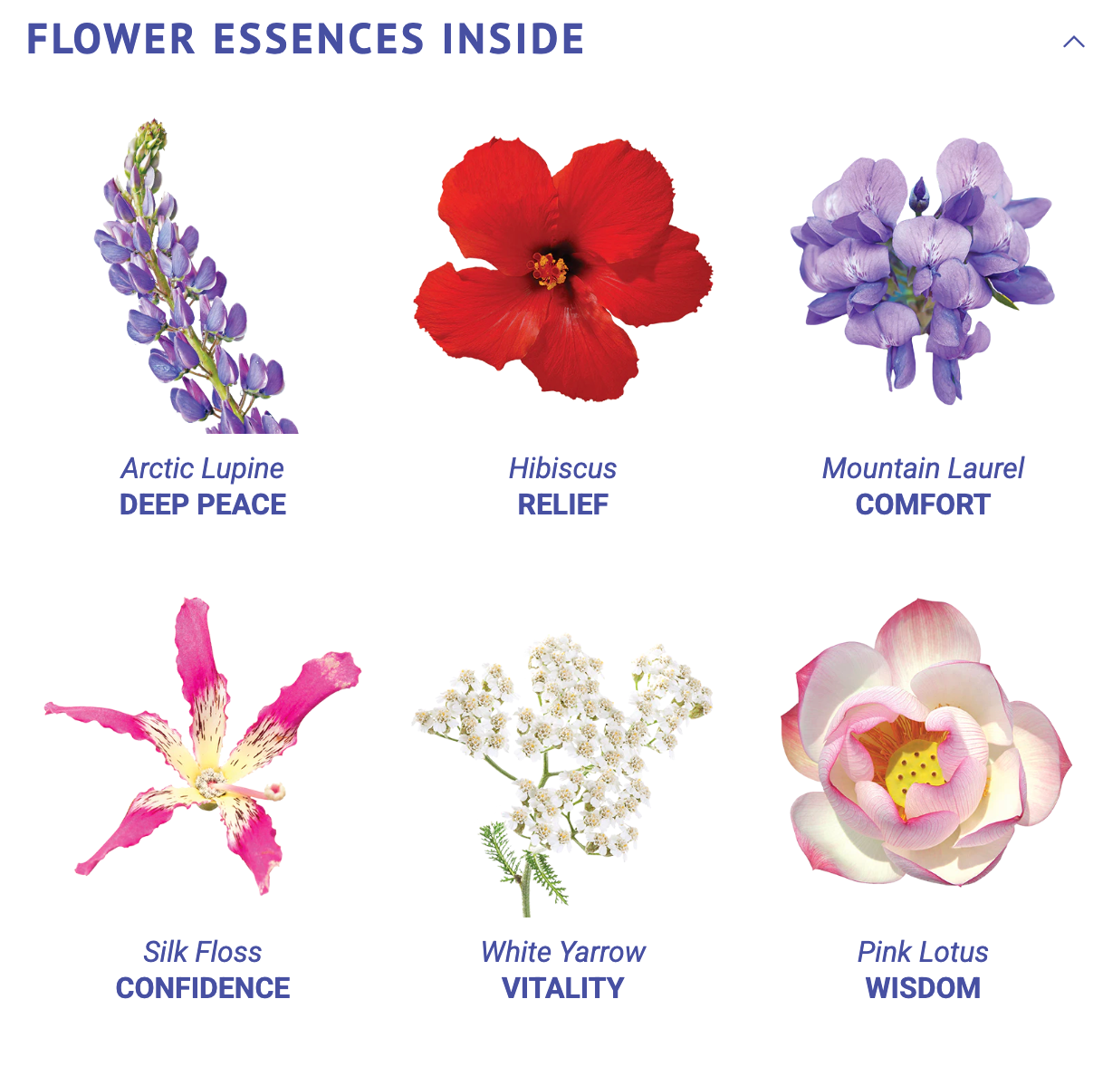 Inner Peace Flower Essence Elixir