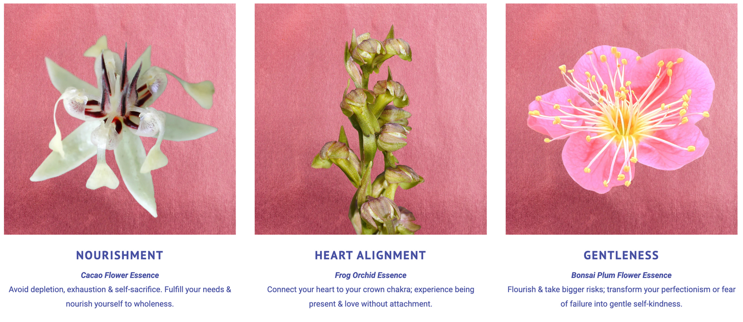 Divine Within Flower Essence Elixir