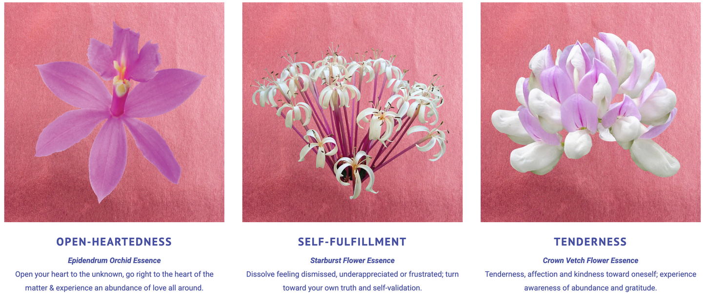 Divine Within Flower Essence Elixir