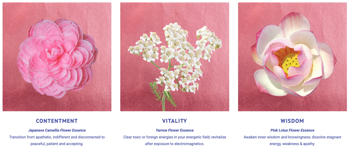 Divine Within Flower Essence Elixir