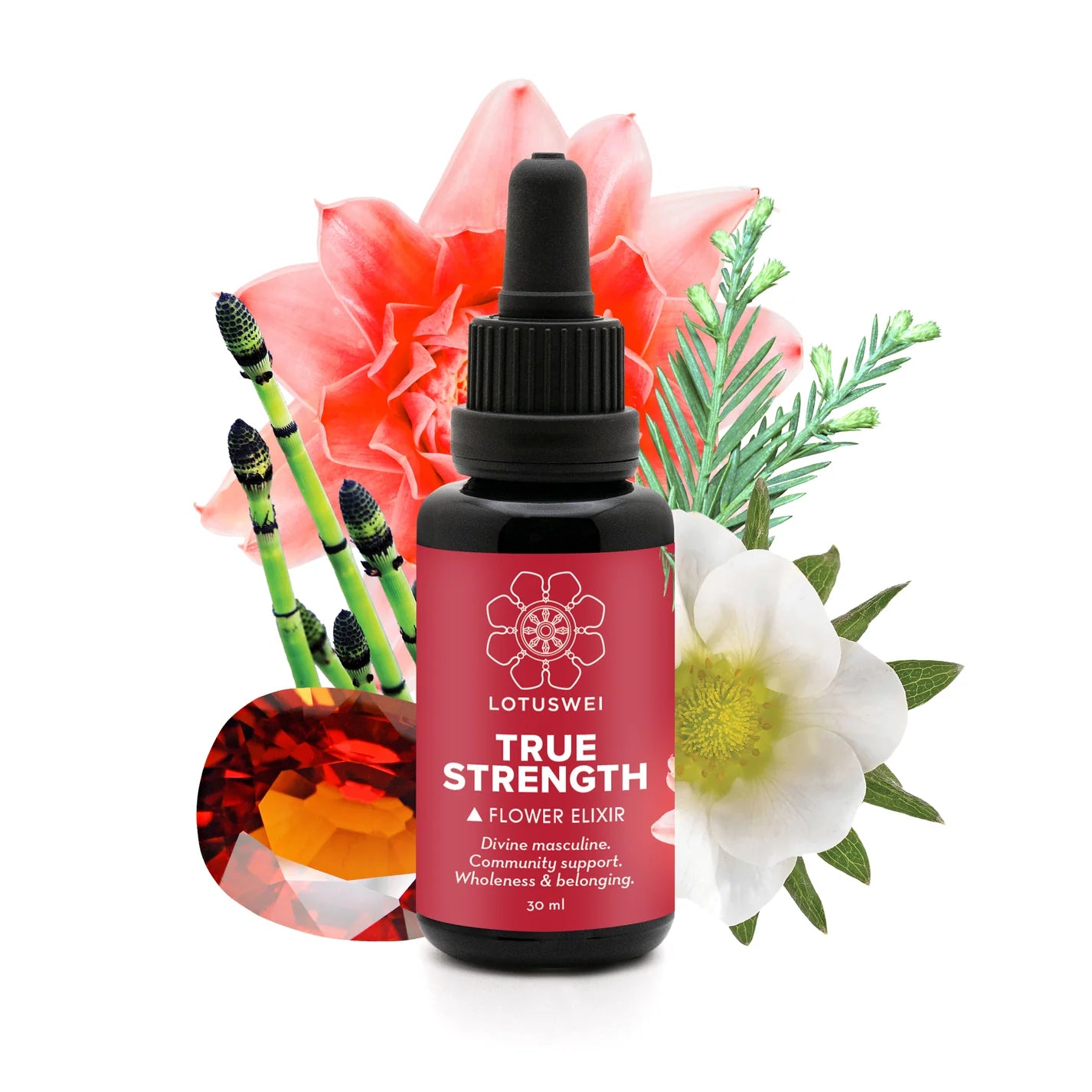 True Strength Flower Essence Elixir