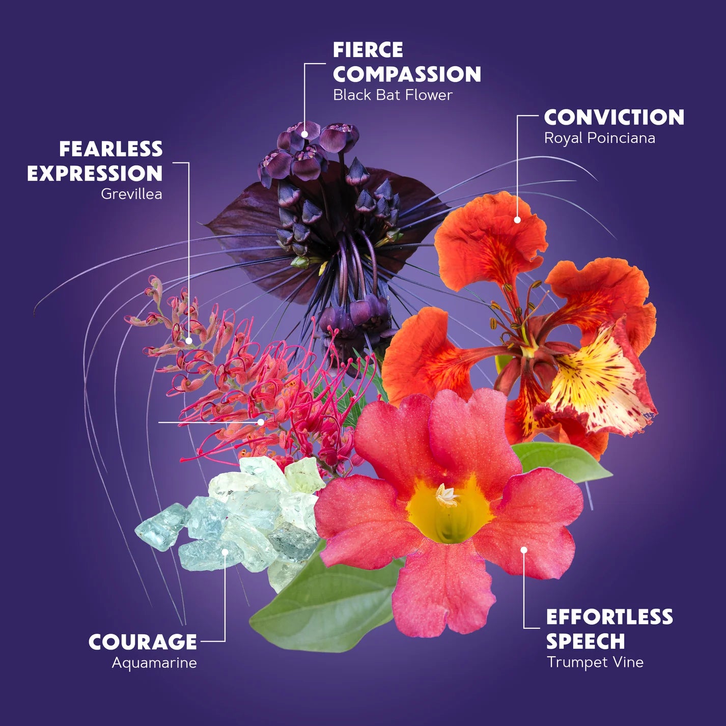 Truthteller Flower Essence Elixir