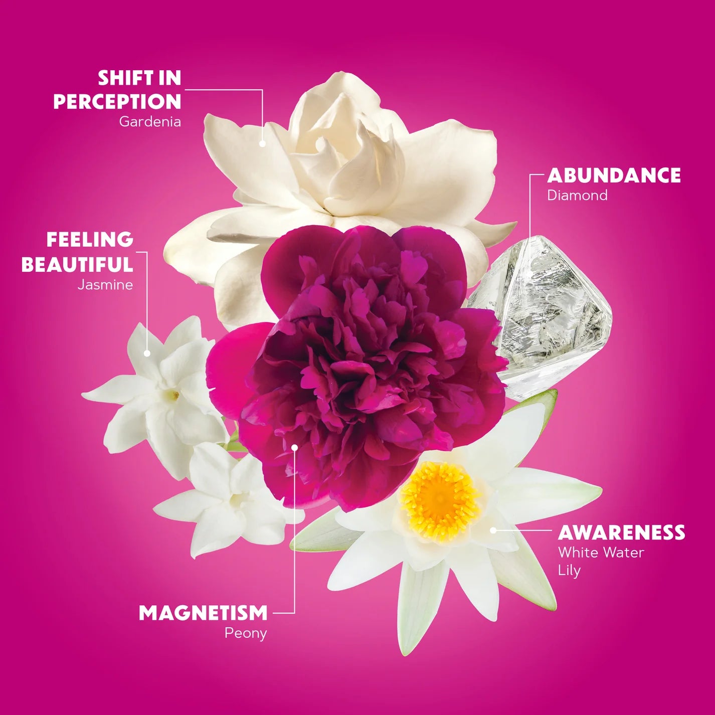 Wild Abundance Flower Essence Elixir